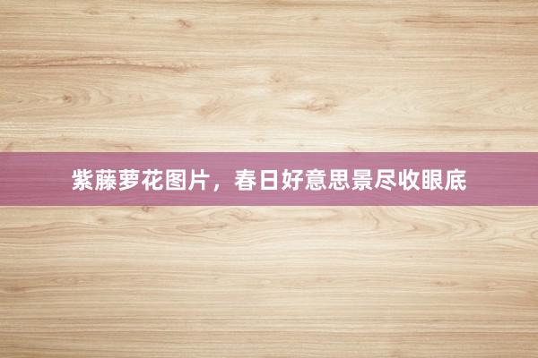 紫藤萝花图片，春日好意思景尽收眼底