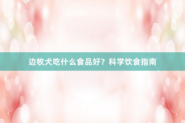 边牧犬吃什么食品好？科学饮食指南